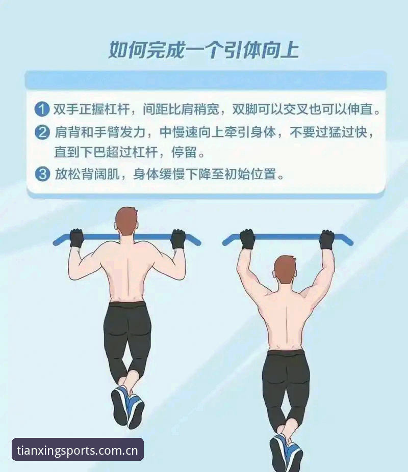 揭秘天行体育使用教程：从新手到达人的完整操作指南